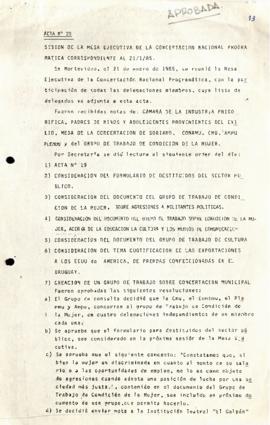Acta Nº 20