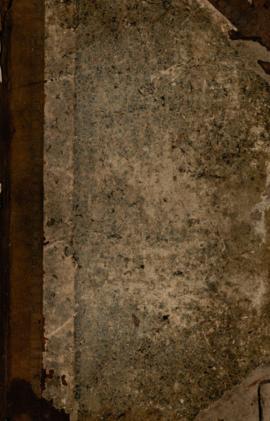 Actas de la Honorable Junta de Representantes de la Provincia Oriental