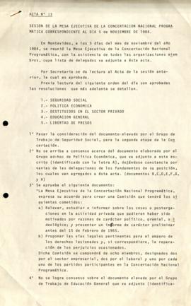 Acta Nº 13