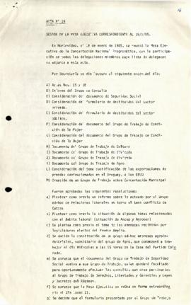 Acta Nº 19